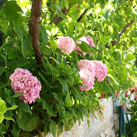 Alaburic Rooms & Apartment Mali Lošinj Esterno foto