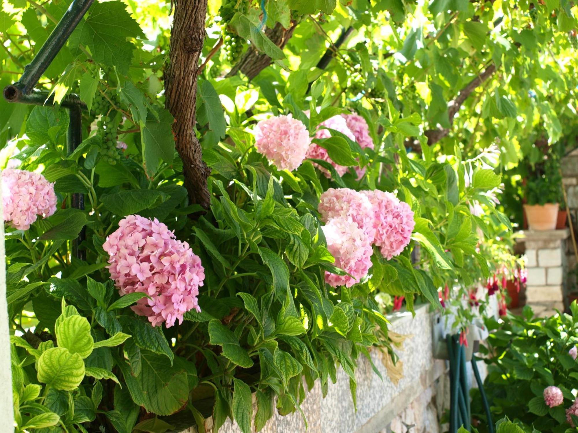 Alaburic Rooms & Apartment Mali Lošinj Esterno foto